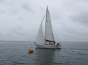 AIMG_5595.jpg