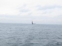 AIMG_5607.jpg
