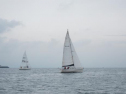 AIMG_5615.jpg