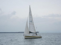 AIMG_5635.jpg