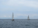 IMG_5694ac.jpg
