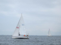 IMG_5696ac.jpg