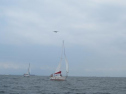 IMG_5699ac.jpg
