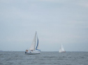 IMG_5701ac.jpg