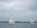 IMG_5703ac.jpg