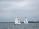 IMG_5704ac.jpg