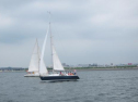 IMG_5708ac.jpg