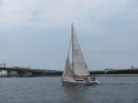 IMG_5709ac.jpg
