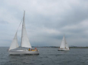 IMG_5711ac.jpg