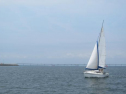IMG_5723ac.jpg