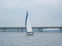 IMG_5724ac.jpg