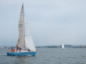 IMG_5726ac.jpg