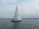 IMG_5727ac.jpg