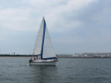 IMG_5728ac.jpg