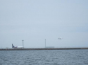 IMG_5731ac.jpg