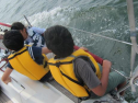 IMG_5736ac.jpg