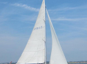 IMG_5744ac.jpg