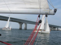 IMG_5761ac.jpg