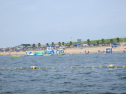 IMG_5763ac.jpg