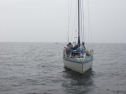 RIMG0390ac.jpg