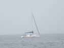 RIMG0392ac.jpg