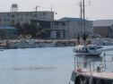 AIMG_4957.jpg
