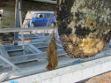 AIMG_5019.jpg