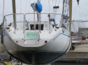 AIMG_5131.jpg