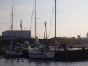 RIMG0537ac.jpg