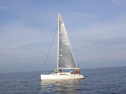 RIMG0541ac.jpg