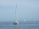 RIMG0542ac.jpg