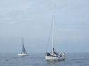 RIMG0547ac.jpg
