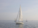 RIMG0549ac.jpg