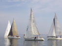 RIMG0555ac.jpg