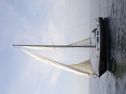 RIMG0558ac.jpg