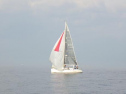 RIMG0561ac.jpg