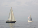 RIMG0563ac.jpg