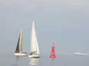 RIMG0564ac.jpg