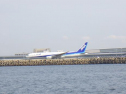 RIMG0569ac.jpg