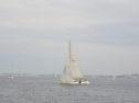 RIMG0573ac.jpg