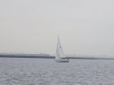 RIMG0574ac.jpg