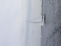 RIMG0577ac.jpg