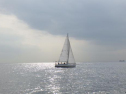 RIMG0579ac.jpg