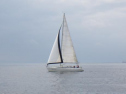 RIMG0588ac.jpg