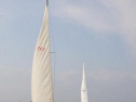 RIMG0559ac.jpg