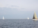 RIMG0565ac.jpg