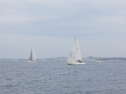 RIMG0576ac.jpg