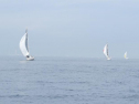 IMG_0120ac.jpg