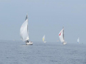IMG_0121ac.jpg