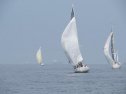 IMG_0123ac.jpg